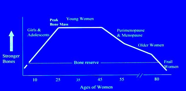 Bone density over lifespan